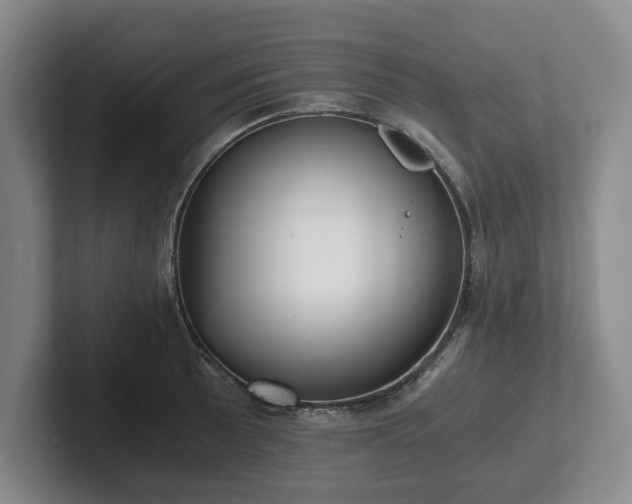 X0000101951089200807251129