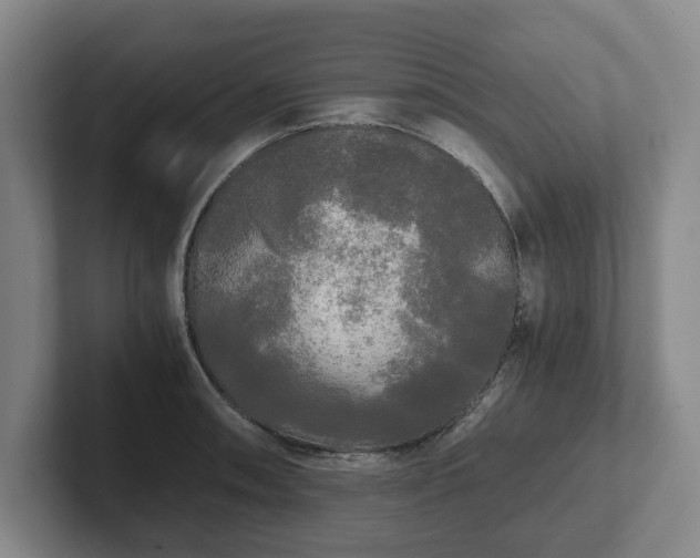 X0000101951090200807251129