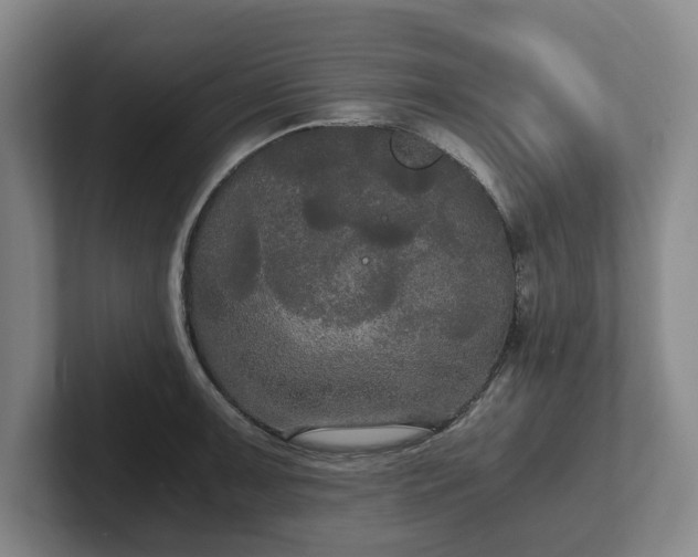 X0000101951091200807251129