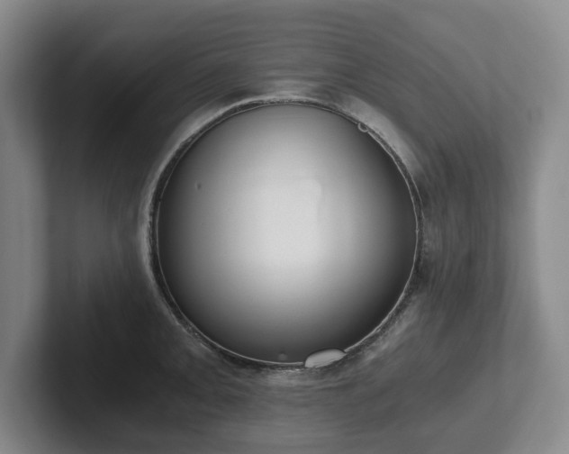 X0000101951093200807251129