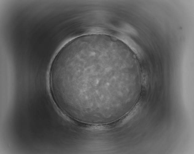 X0000101951094200807251129