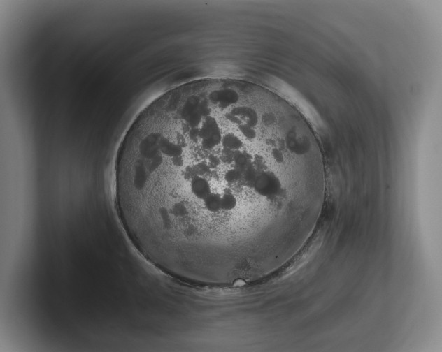 X0000101951095200807251129