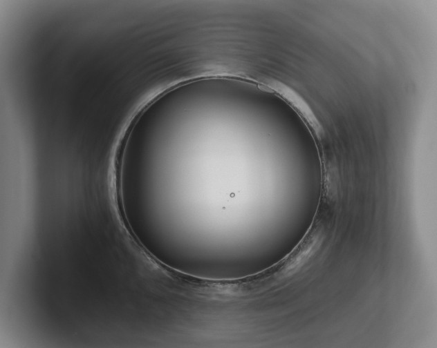 X0000101951096200807251129