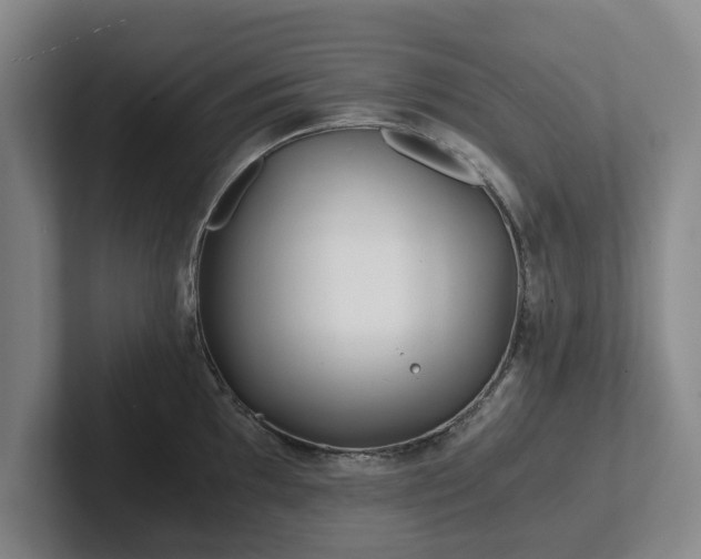 X0000101951097200807251129