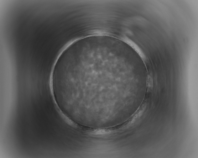 X0000101951098200807251129