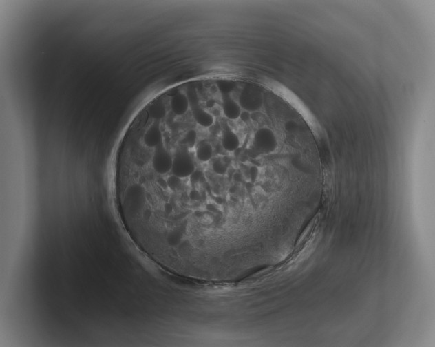 X0000101951099200807251129