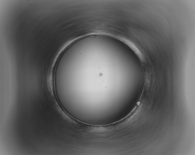 X0000101951100200807251129