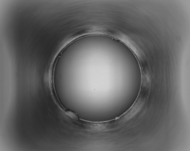 X0000101951101200807251129