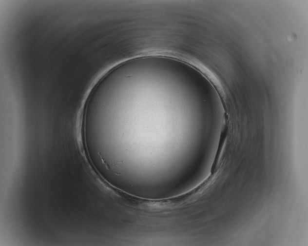 X0000101951102200807251129