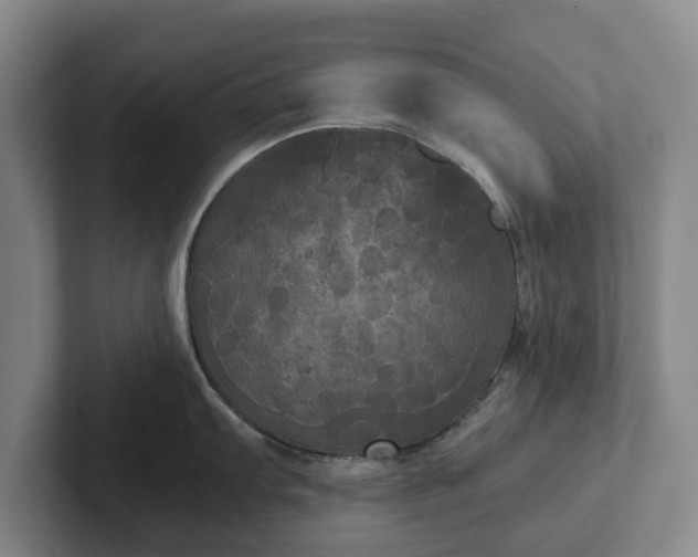 X0000101951103200807251129