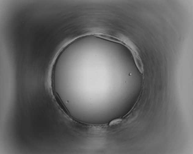 X0000101951104200807251129