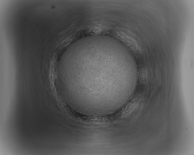 X0000101951105200807251129