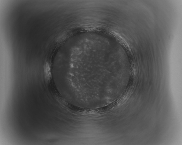 X0000101951106200807251129