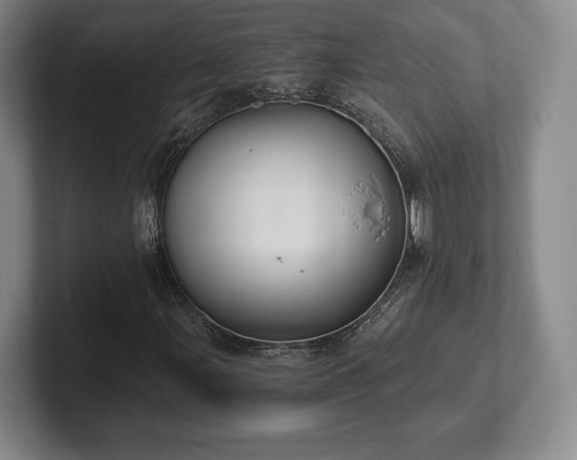 X0000101951107200807251129