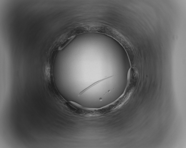 X0000101951108200807251129