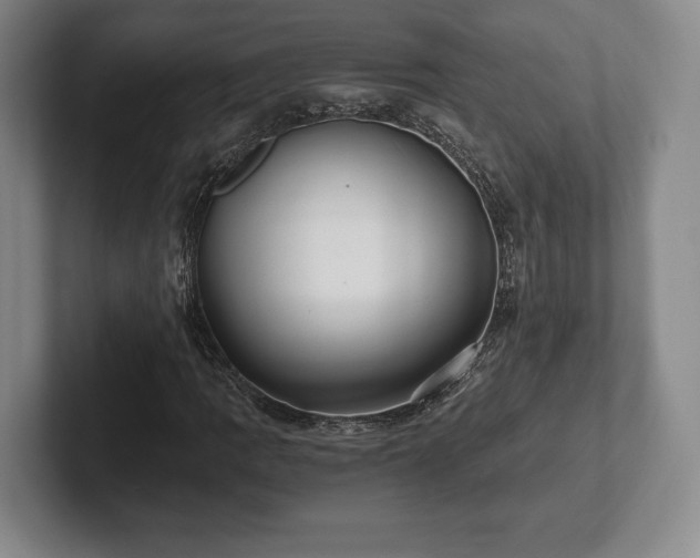 X0000101951109200807251129