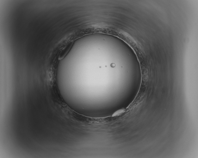 X0000101951110200807251129