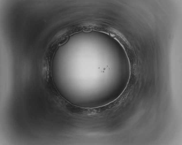 X0000101951111200807251129