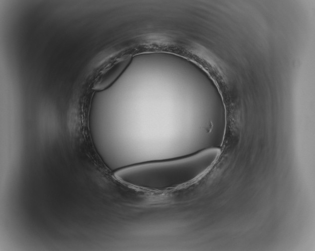 X0000101951112200807251129