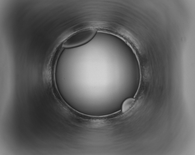 X0000101951114200807251129