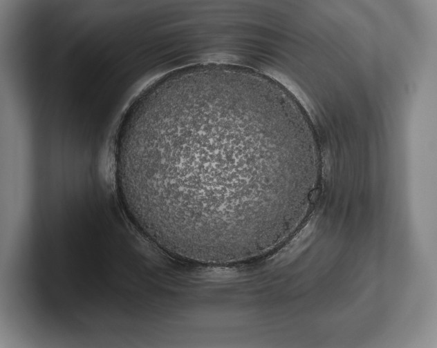 X0000101951115200807251129