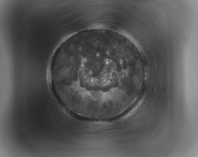 X0000101951117200807251129