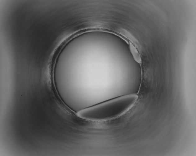 X0000101951120200807251129