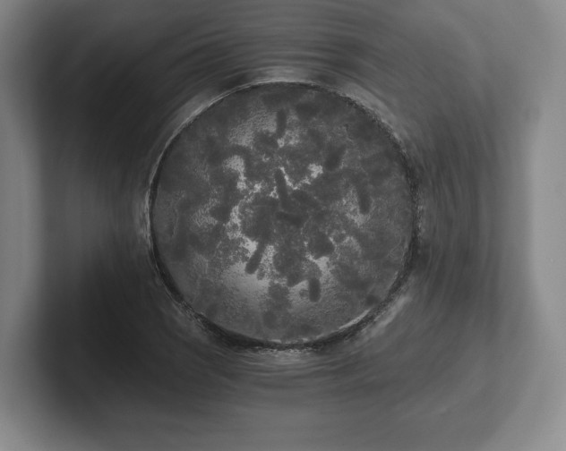 X0000101951121200807251129