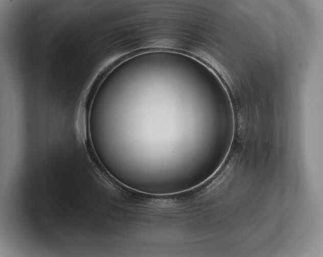 X0000101951123200807251129