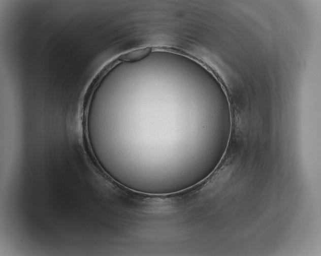 X0000101951124200807251129