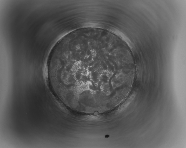 X0000101951125200807251129