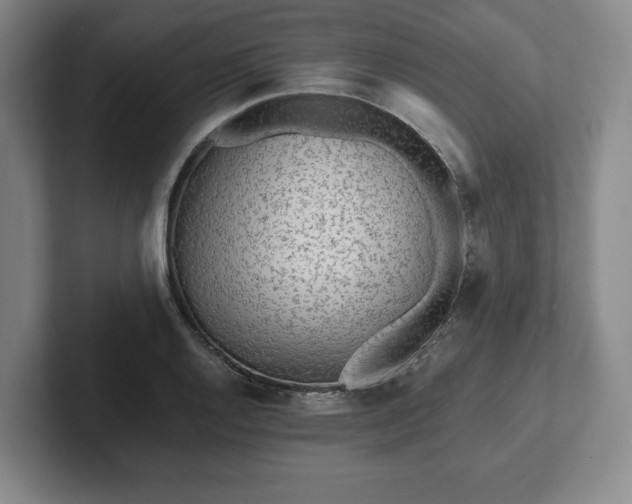 X0000101951128200807251129