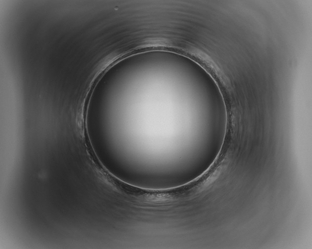 X0000101951129200807251129