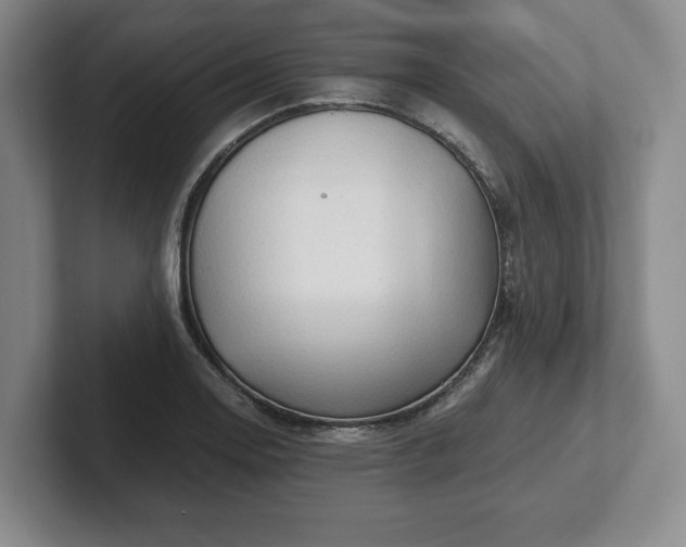 X0000101951130200807251129