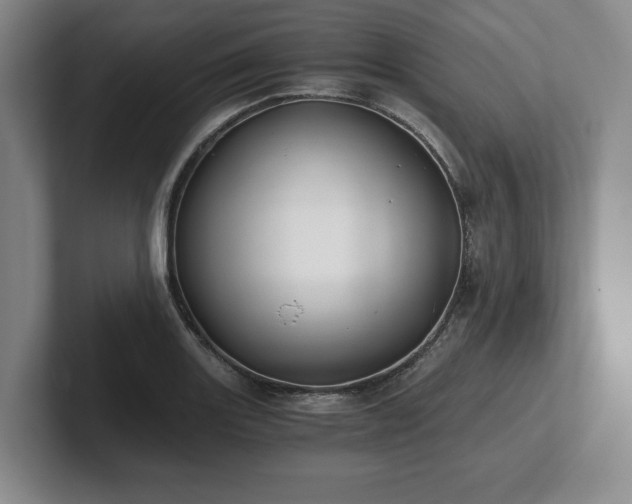 X0000101951131200807251129