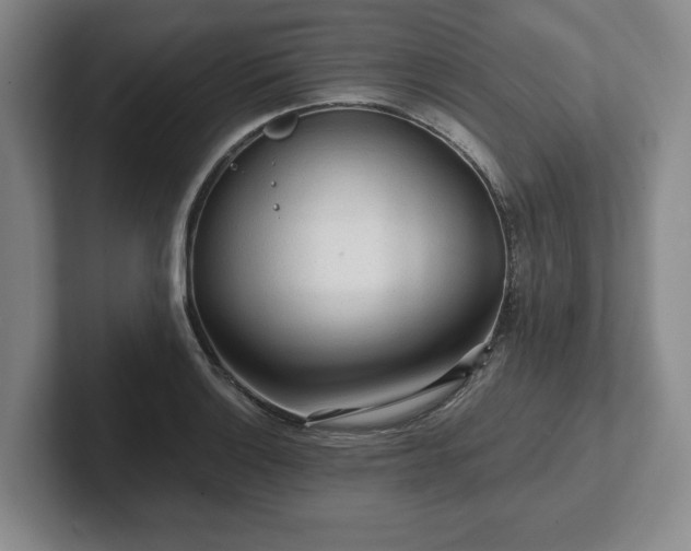 X0000101951132200807251129