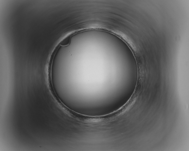 X0000101951134200807251129