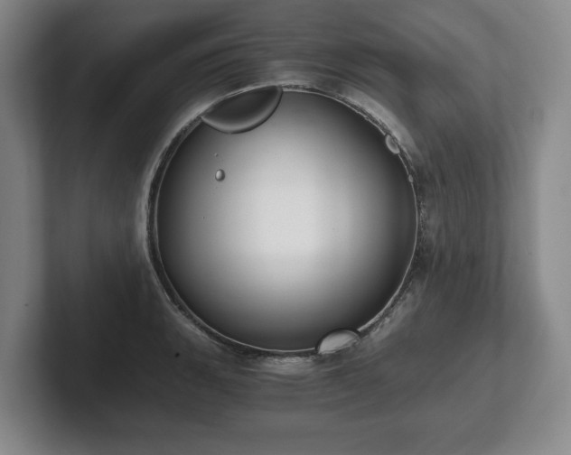 X0000101951135200807251129