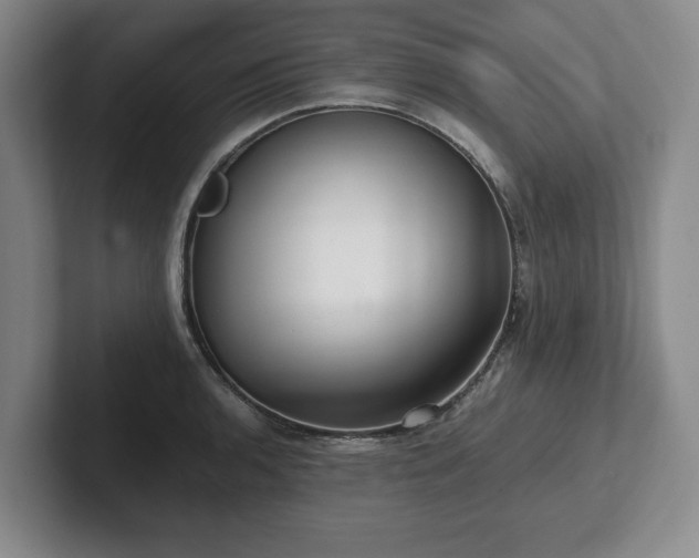 X0000101951136200807251129