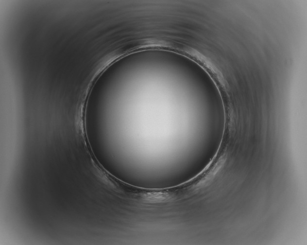 X0000101951137200807251129