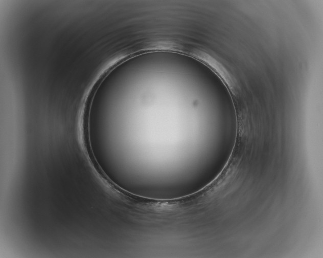 X0000101951139200807251129