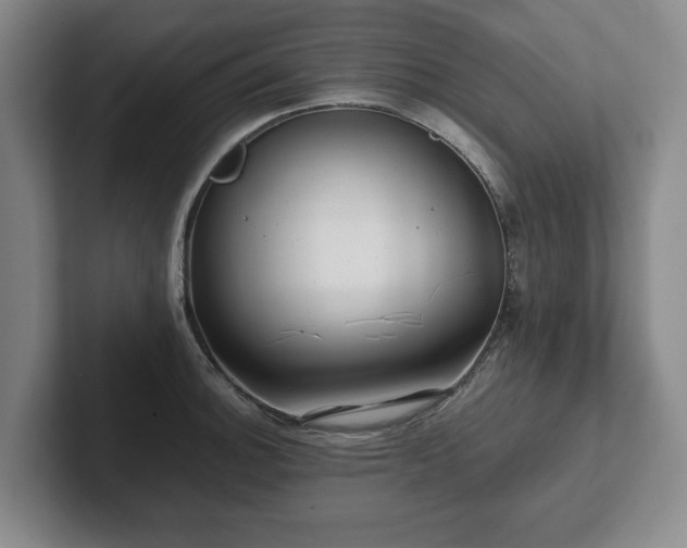 X0000101951140200807251129