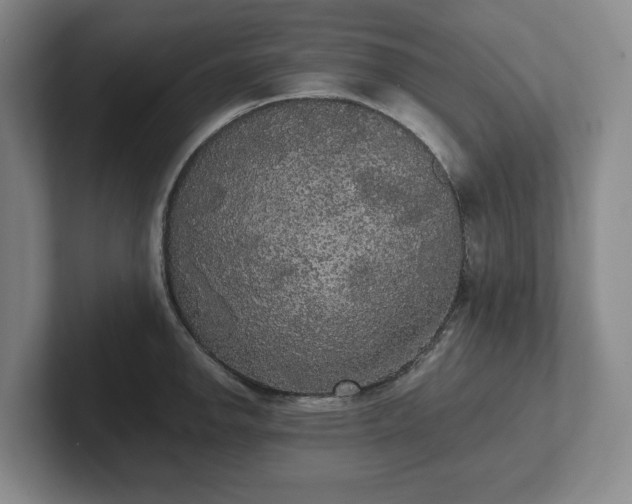 X0000101951142200807251129