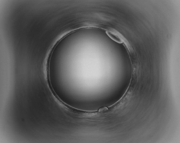 X0000101951143200807251129