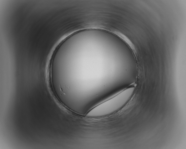 X0000101951144200807251129