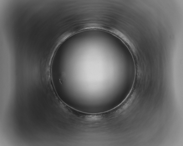 X0000101951145200807251129