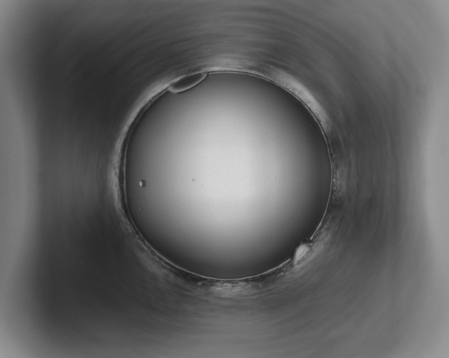 X0000101951146200807251129