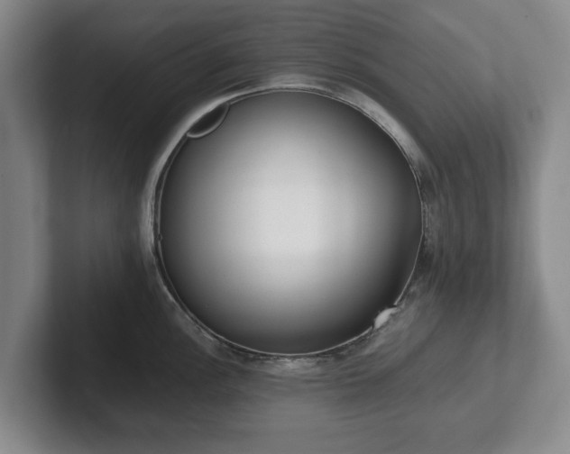 X0000101951148200807251129