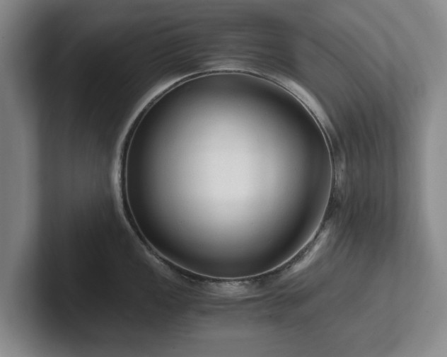 X0000101951149200807251129