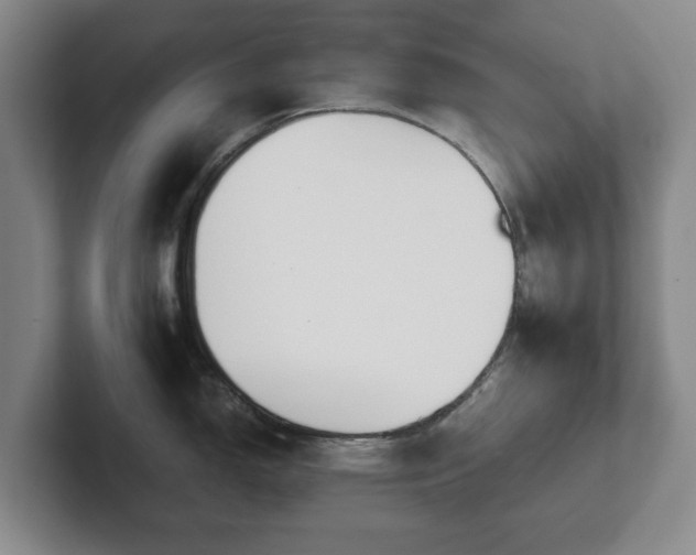 X0000101951150200807251129